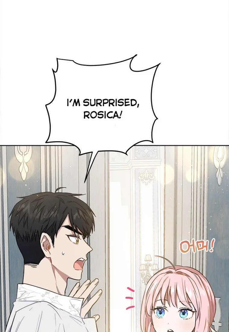 The Princess’s Double Life Chapter 33 page 65