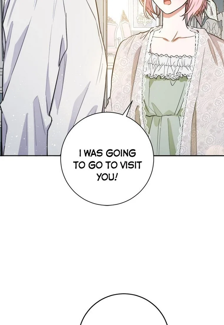 The Princess’s Double Life Chapter 33 page 66