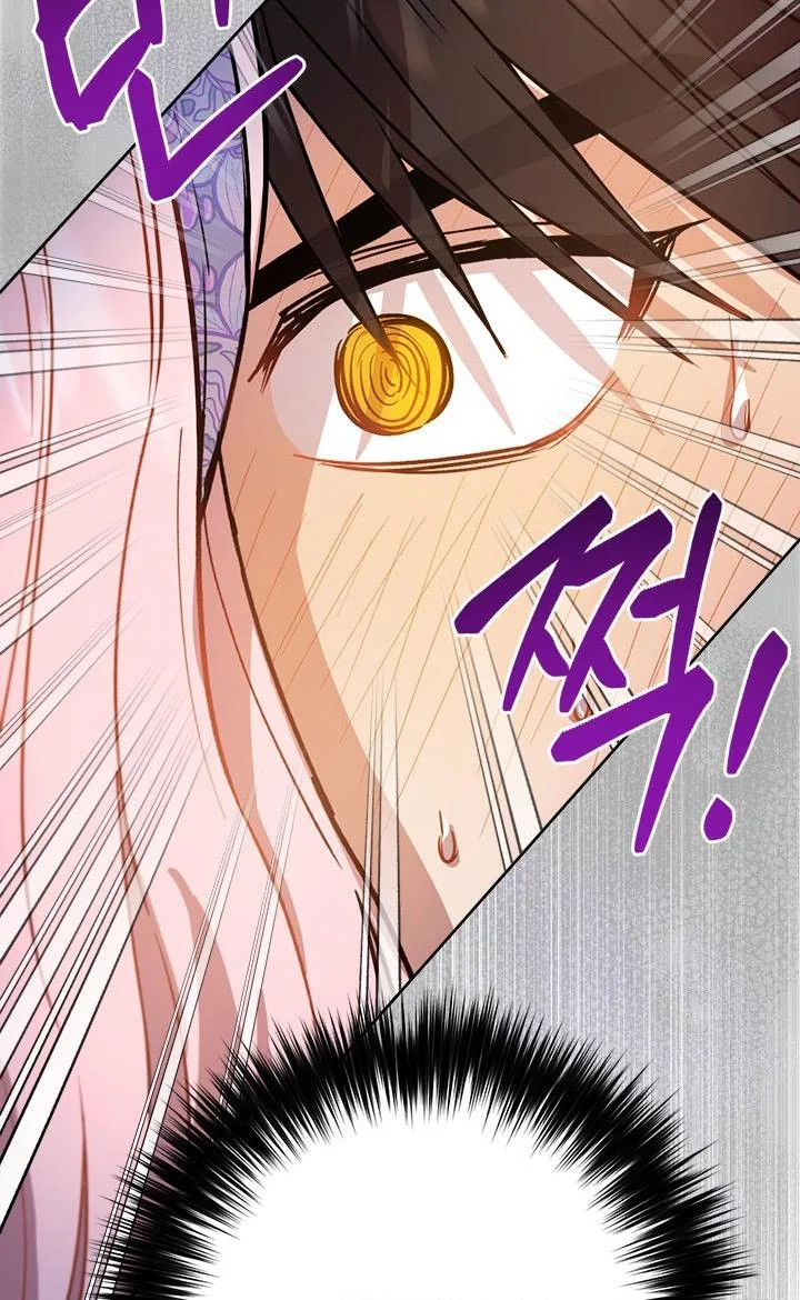 The Princess’s Double Life Chapter 38 page 45