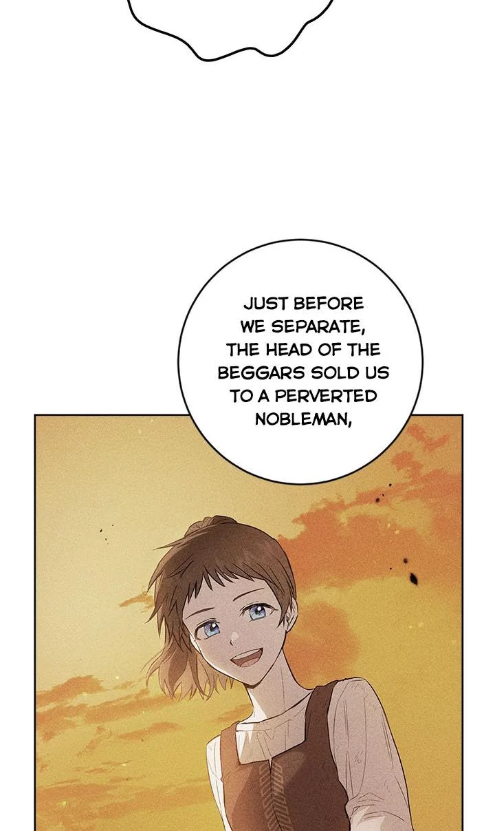 The Princess’s Double Life Chapter 39 page 18