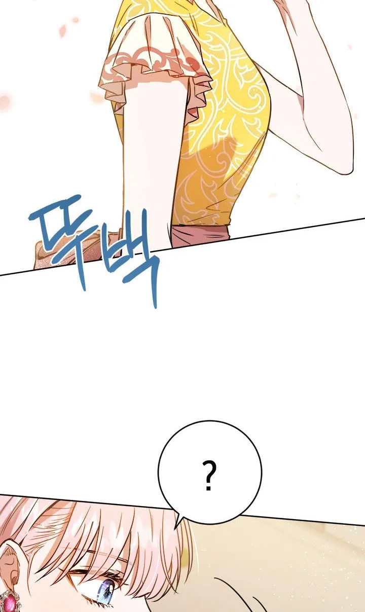 The Princess’s Double Life Chapter 39 page 64