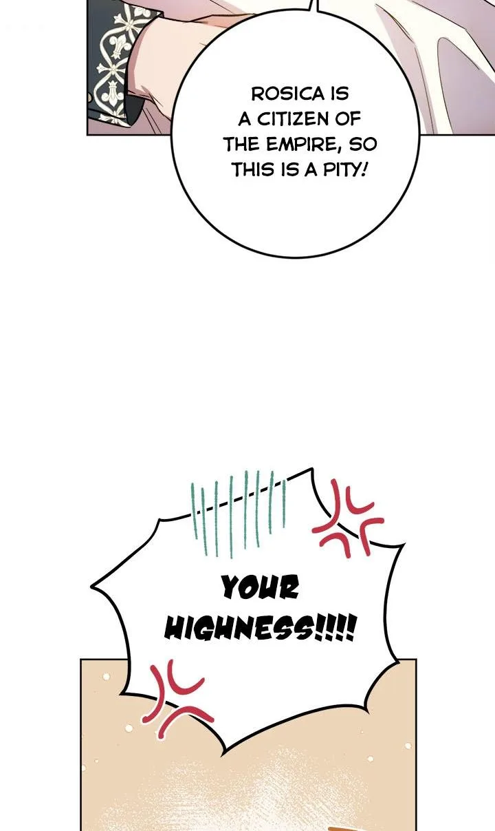 The Princess’s Double Life Chapter 39 page 76