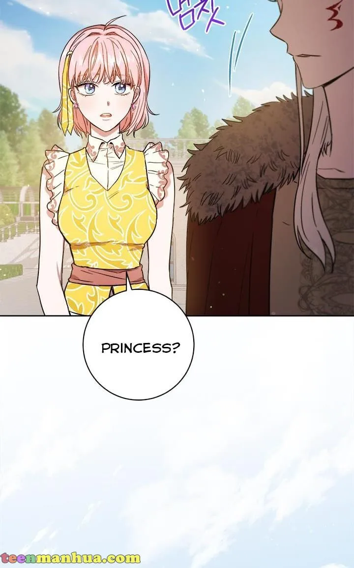 The Princess’s Double Life Chapter 40 page 14