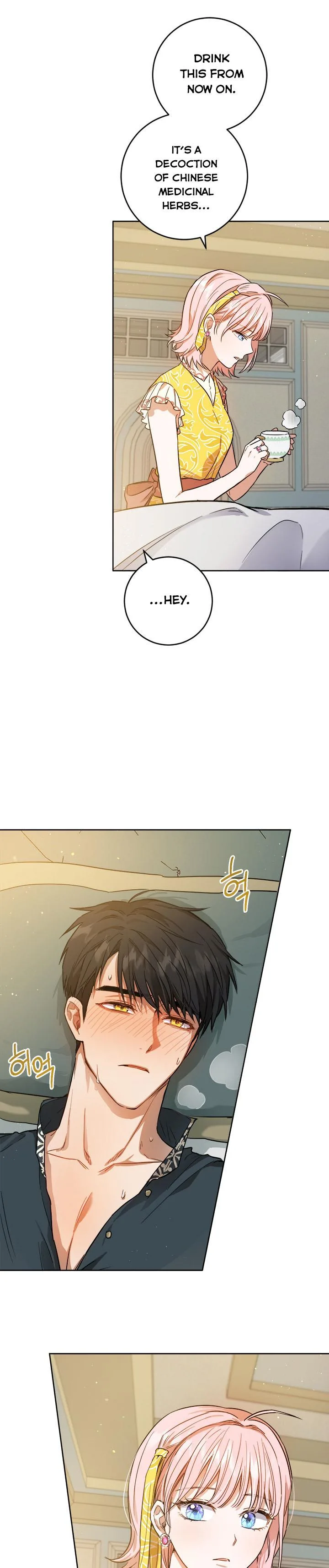 The Princess’s Double Life Chapter 41 page 13