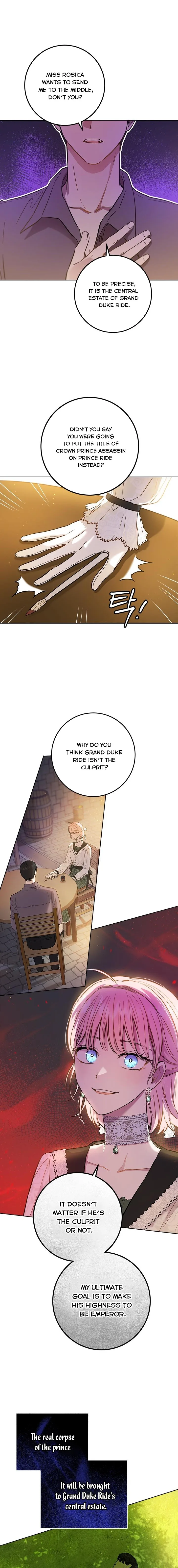 The Princess’s Double Life Chapter 45 page 16
