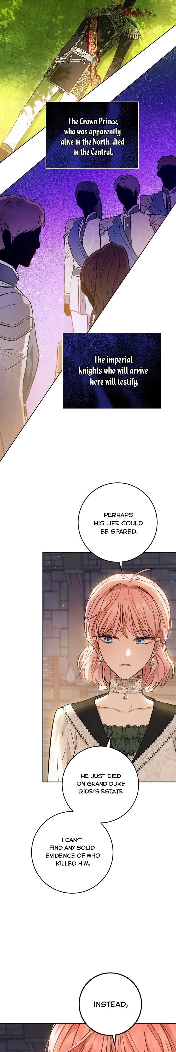 The Princess’s Double Life Chapter 45 page 17