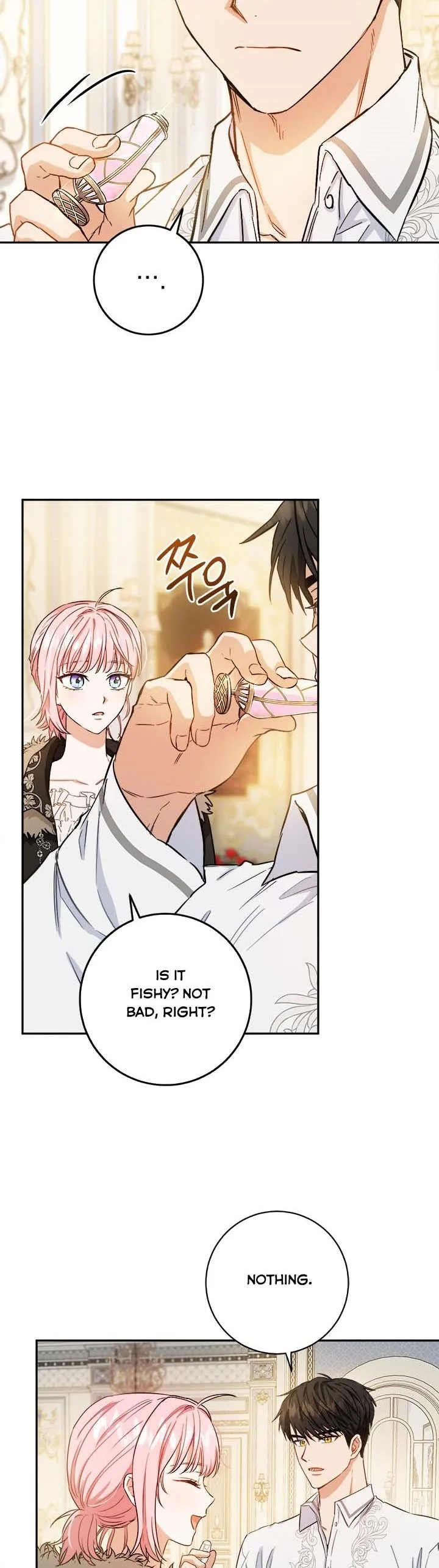 The Princess’s Double Life Chapter 49.5 page 8