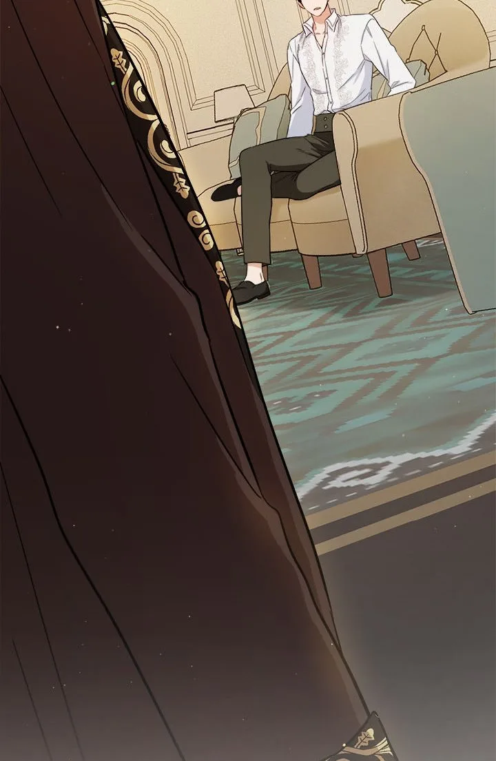 The Princess’s Double Life Chapter 50.5 page 21