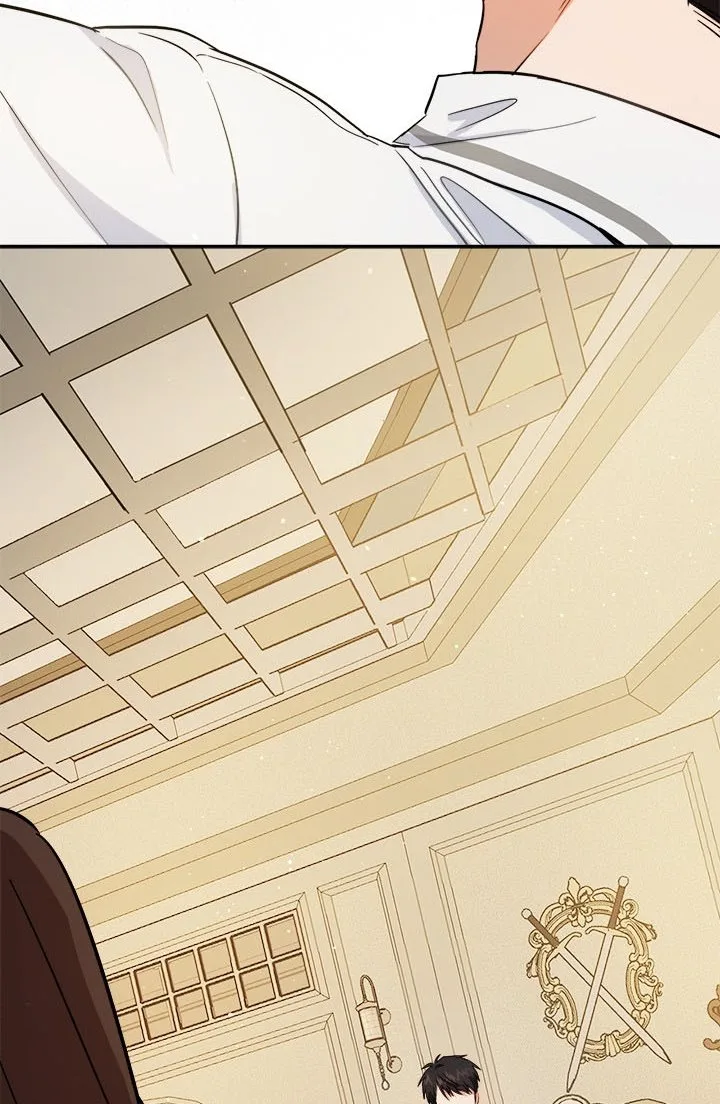 The Princess’s Double Life Chapter 50.5 page 20