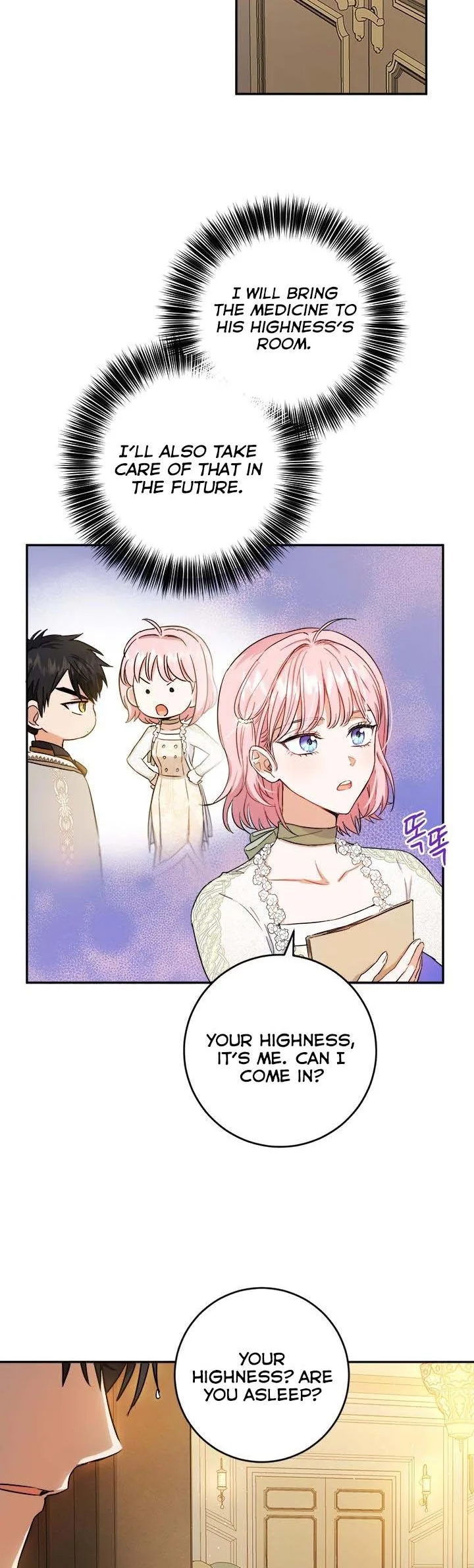 The Princess’s Double Life Chapter 52.5 page 13