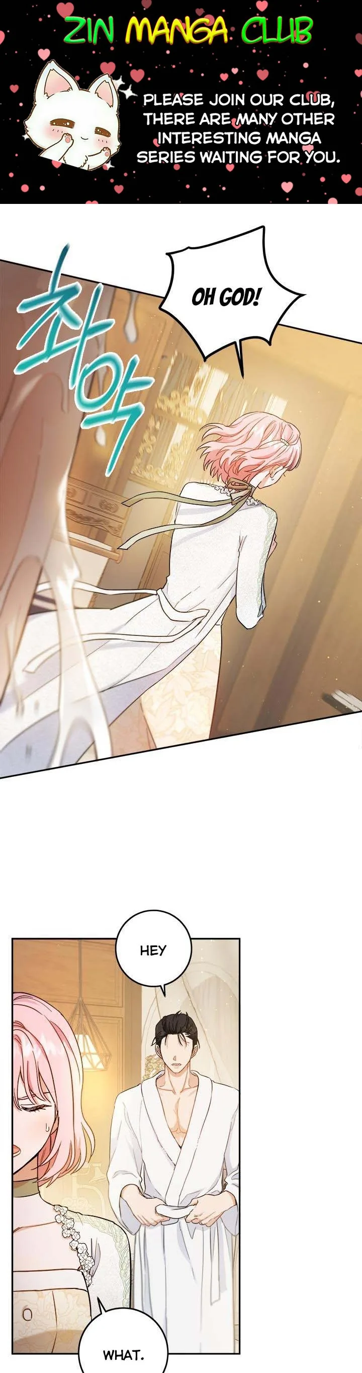 The Princess’s Double Life Chapter 53.5 page 2