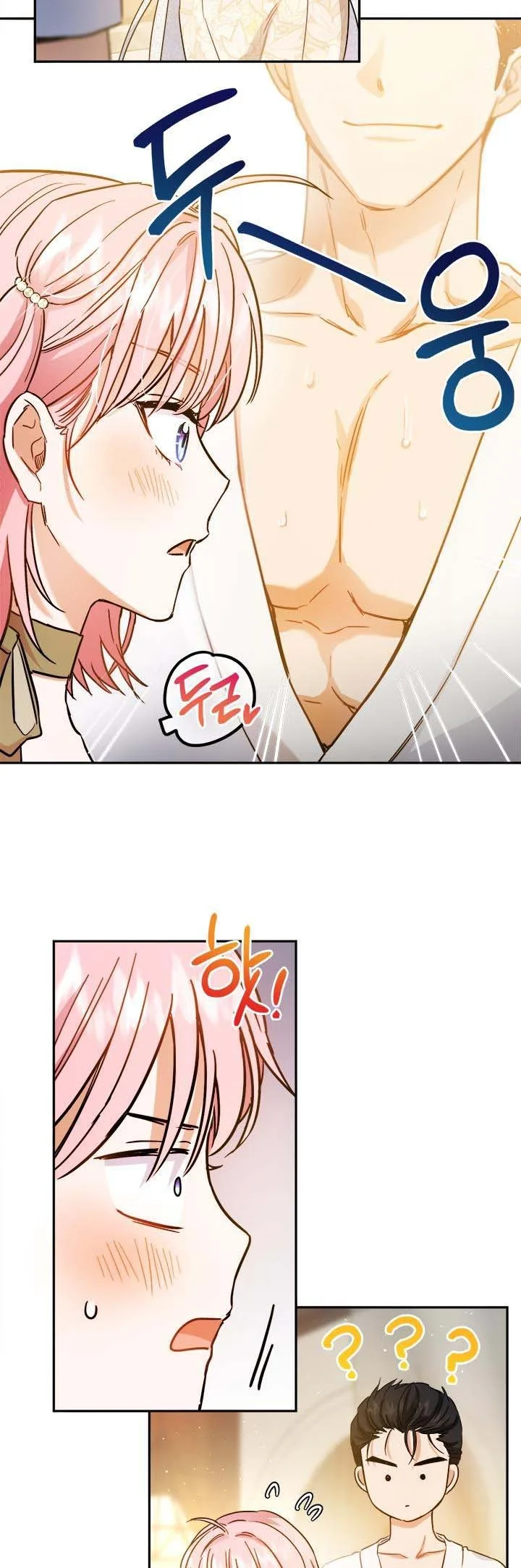 The Princess’s Double Life Chapter 54.5 page 12