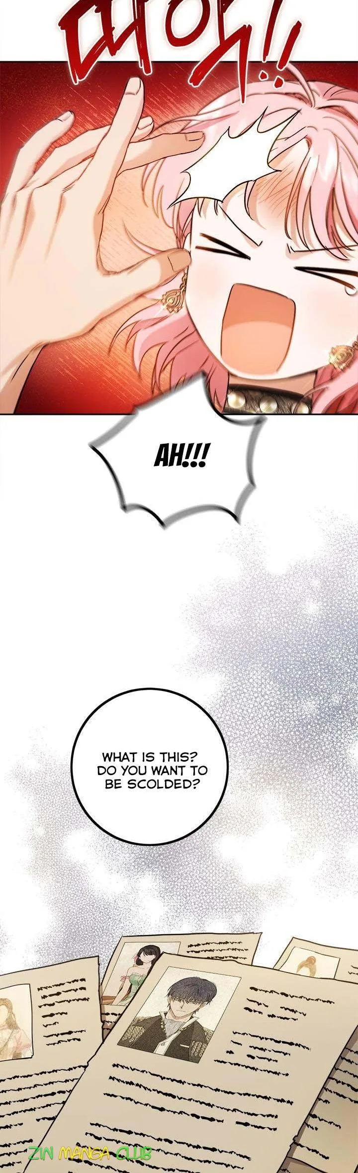 The Princess’s Double Life Chapter 55.5 page 4