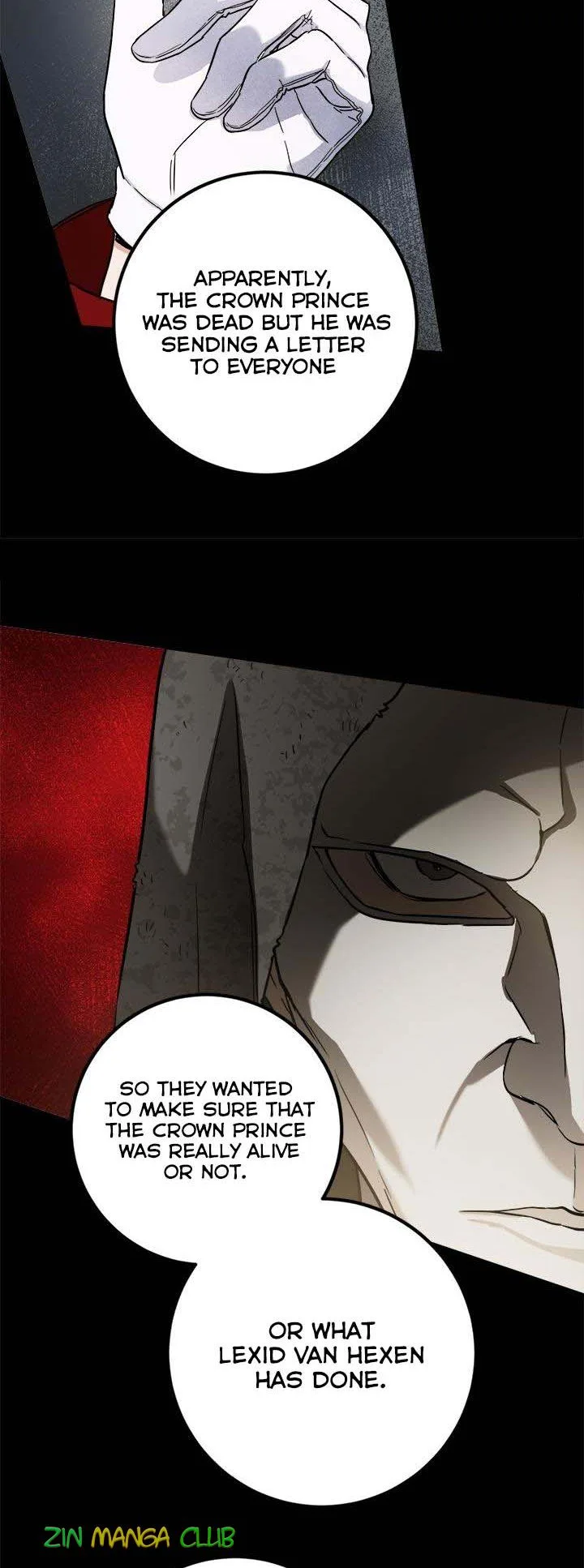The Princess’s Double Life Chapter 57.5 page 4