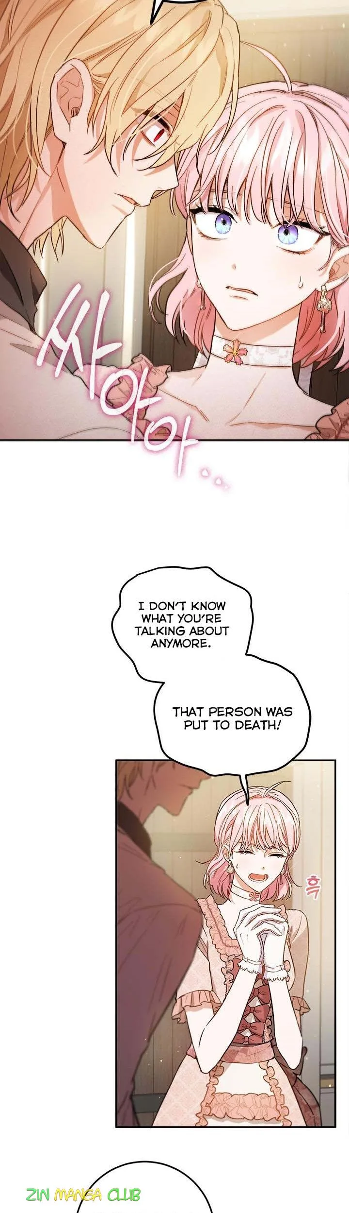 The Princess’s Double Life Chapter 58.5 page 14