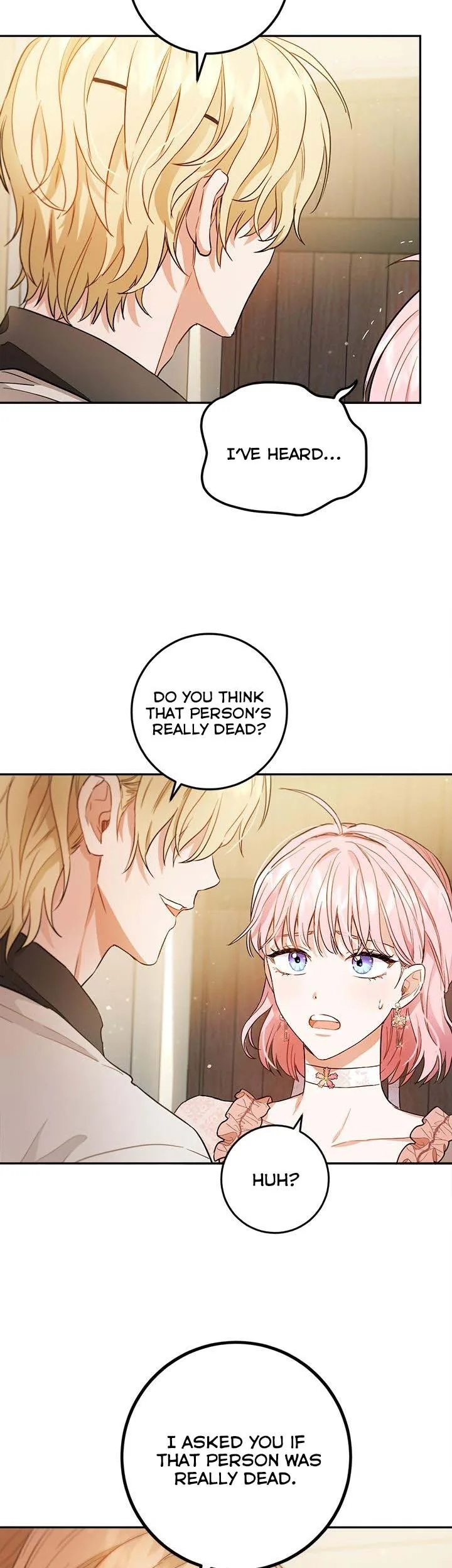 The Princess’s Double Life Chapter 58.5 page 13