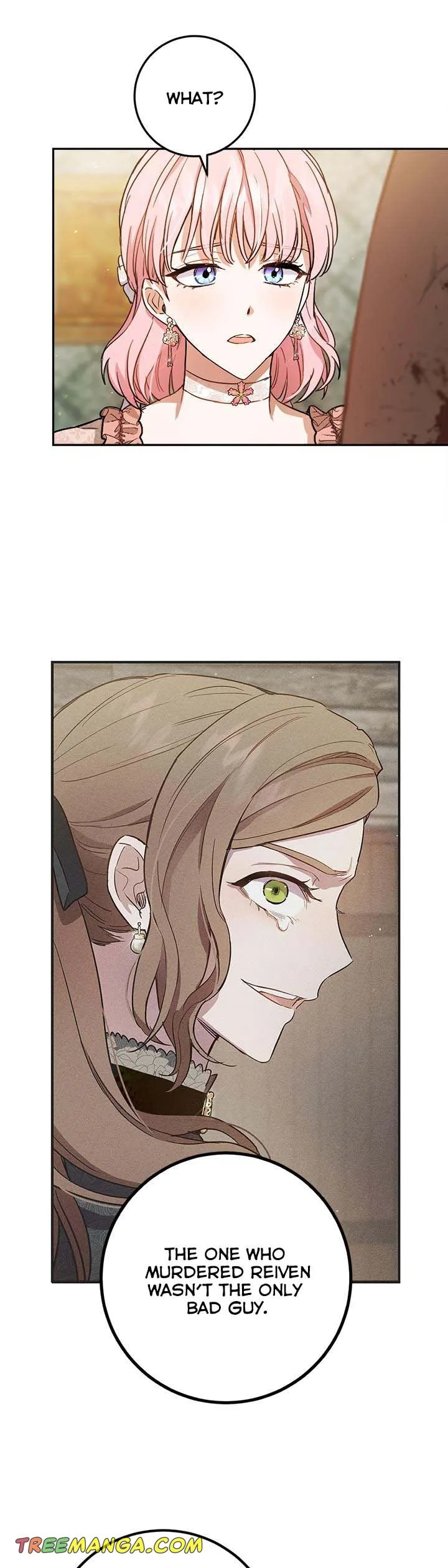 The Princess’s Double Life Chapter 60 page 13