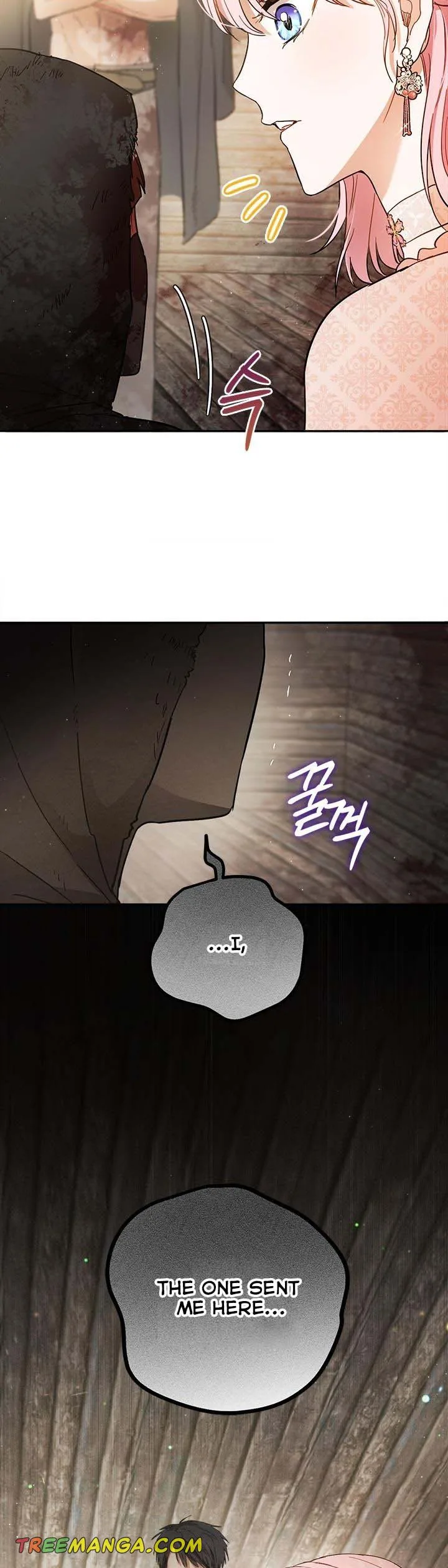 The Princess’s Double Life Chapter 60 page 30