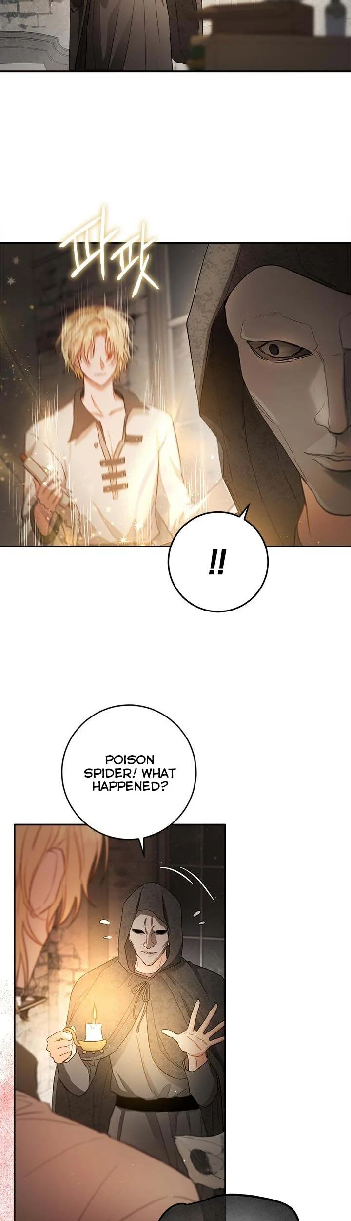 The Princess’s Double Life Chapter 61.5 page 3