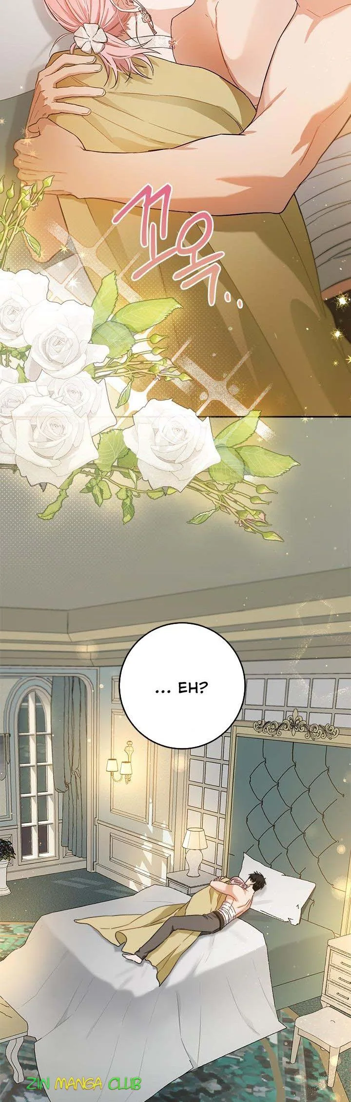 The Princess’s Double Life Chapter 62.5 page 25