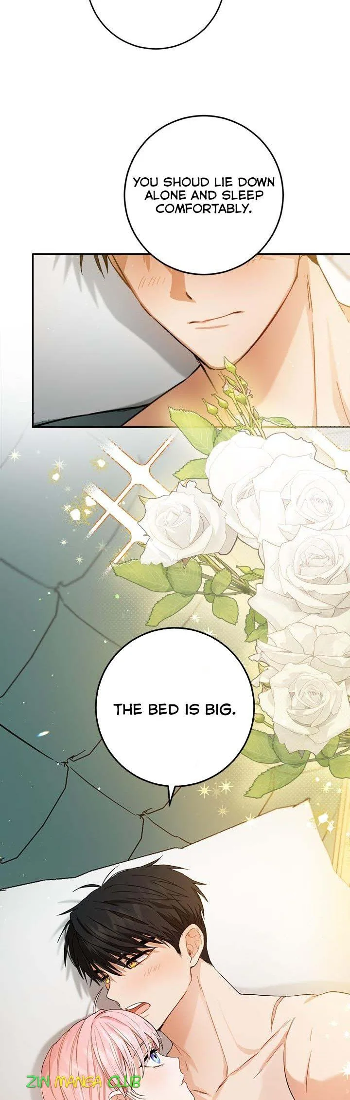 The Princess’s Double Life Chapter 62.5 page 24