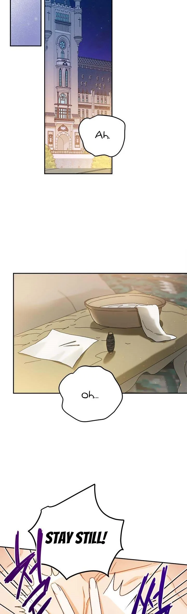 The Princess’s Double Life Chapter 61.5 page 13