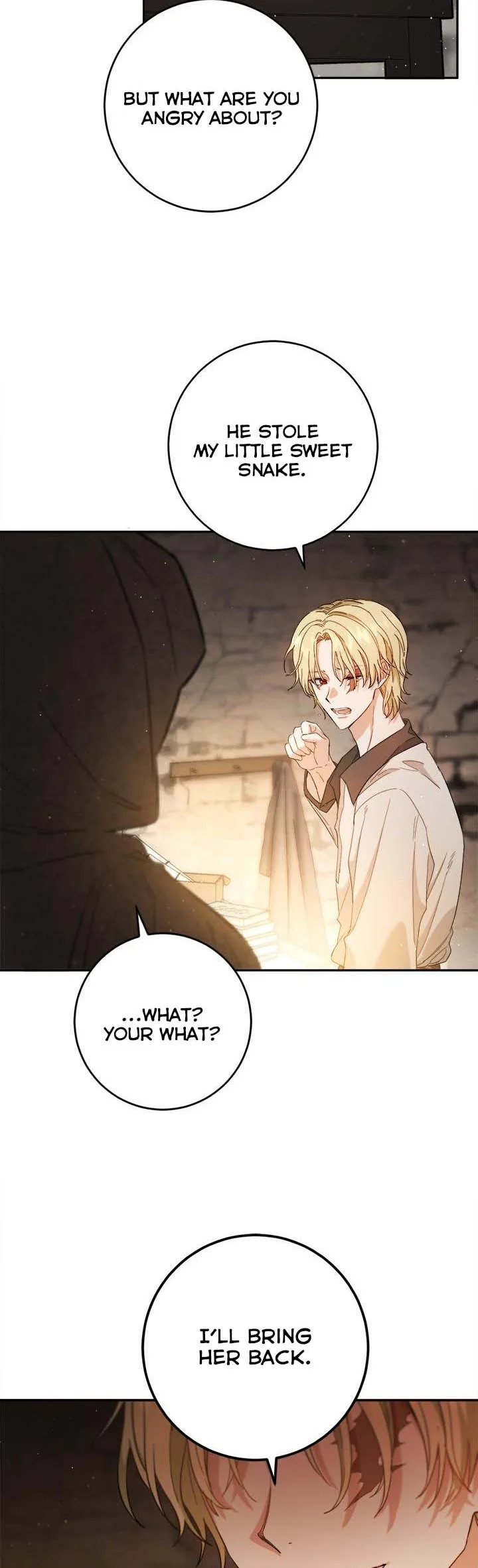The Princess’s Double Life Chapter 61.5 page 10