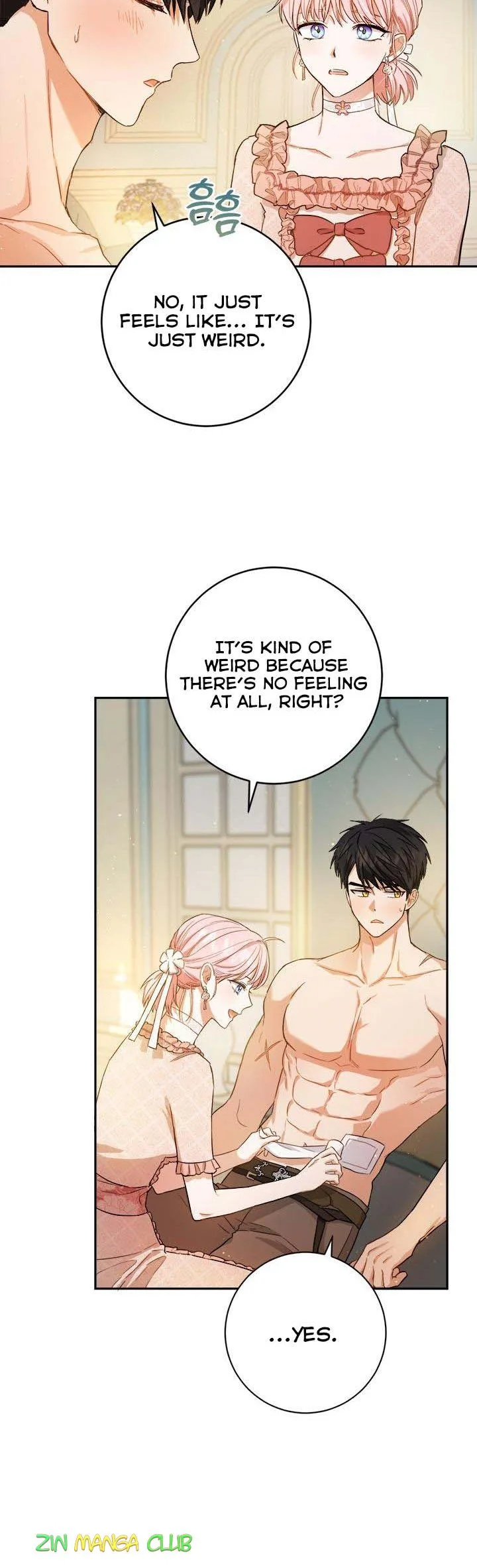 The Princess’s Double Life Chapter 61.5 page 17