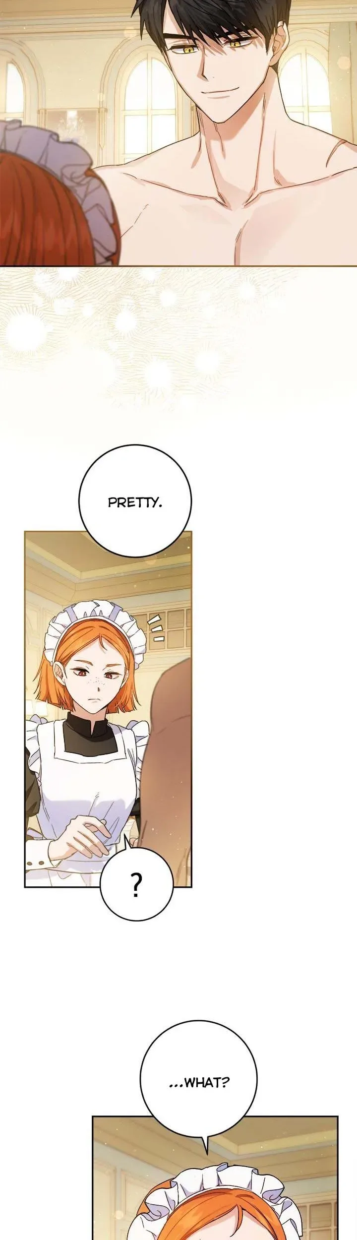 The Princess’s Double Life Chapter 66 page 11