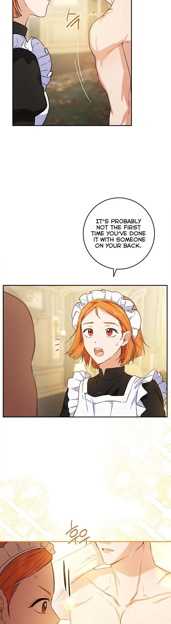 The Princess’s Double Life Chapter 65 page 17
