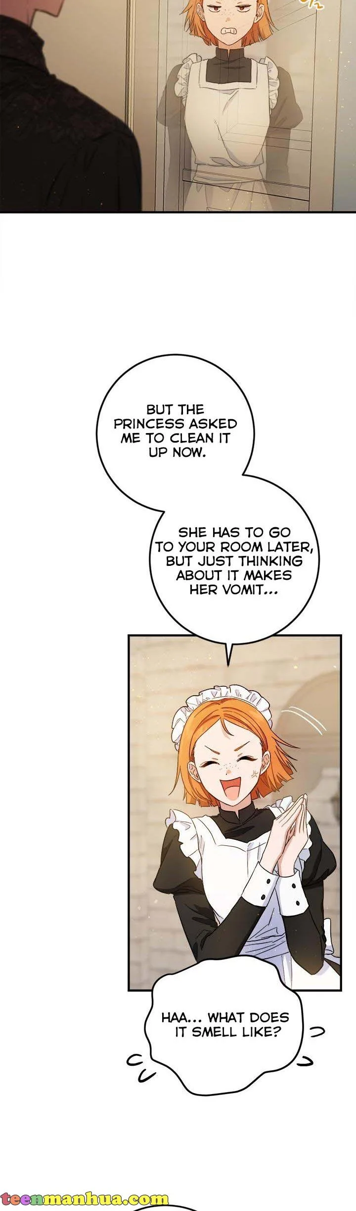 The Princess’s Double Life Chapter 64 page 21