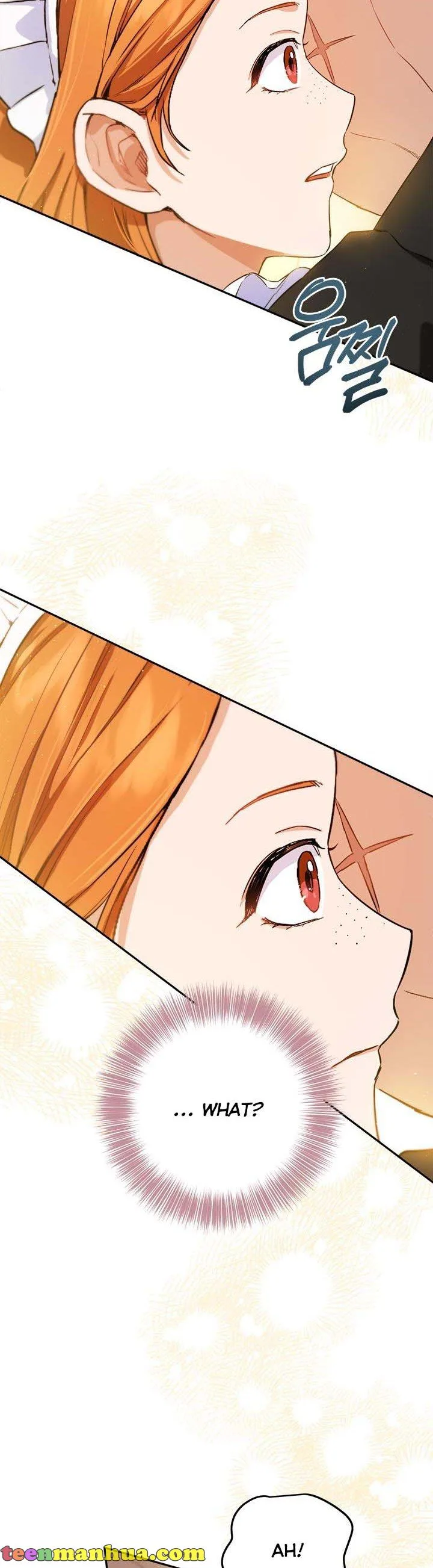 The Princess’s Double Life Chapter 65 page 22
