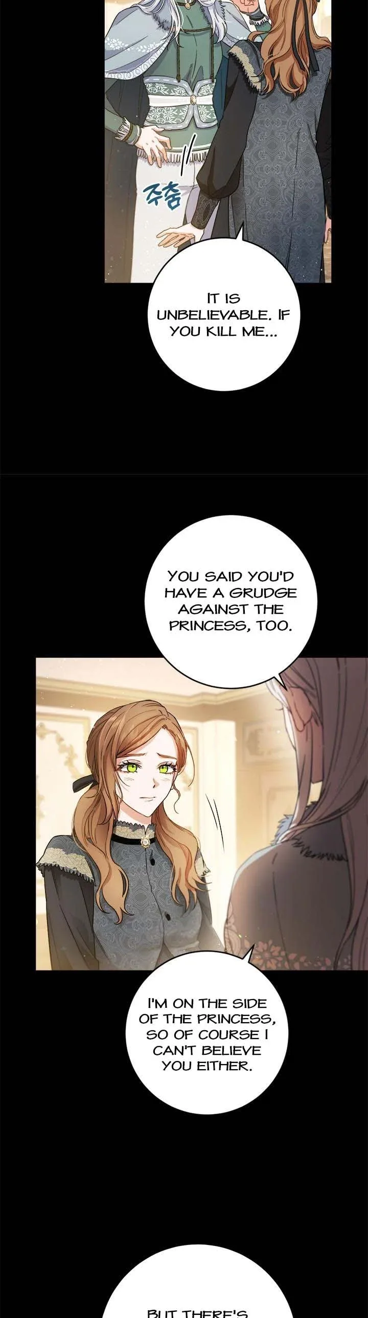 The Princess’s Double Life Chapter 69 page 13