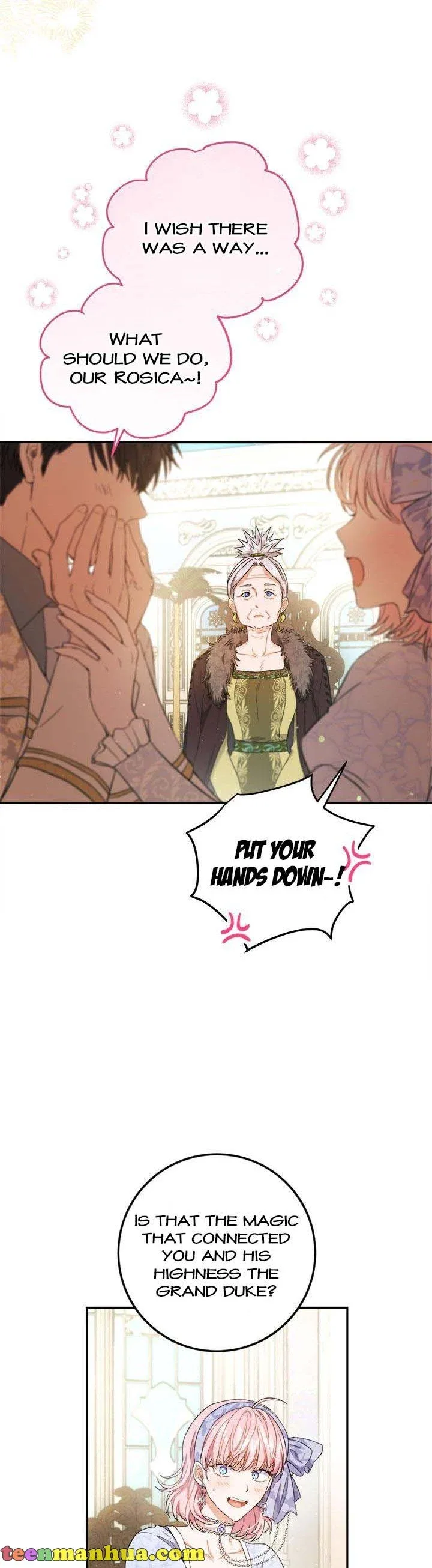 The Princess’s Double Life Chapter 70 page 4