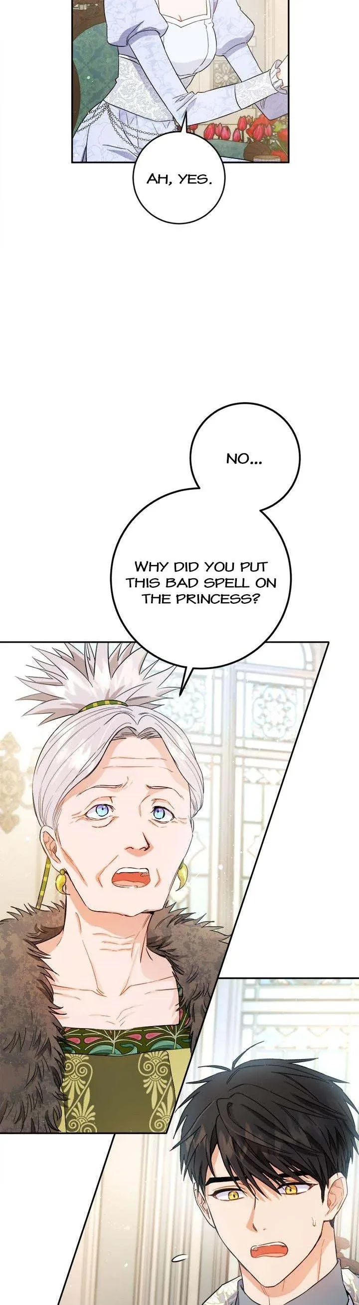 The Princess’s Double Life Chapter 70 page 5