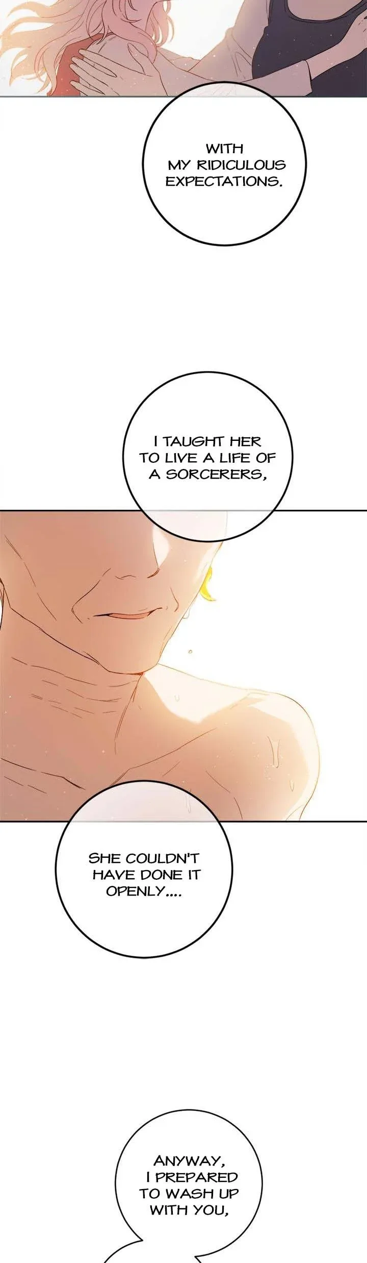 The Princess’s Double Life Chapter 70 page 25