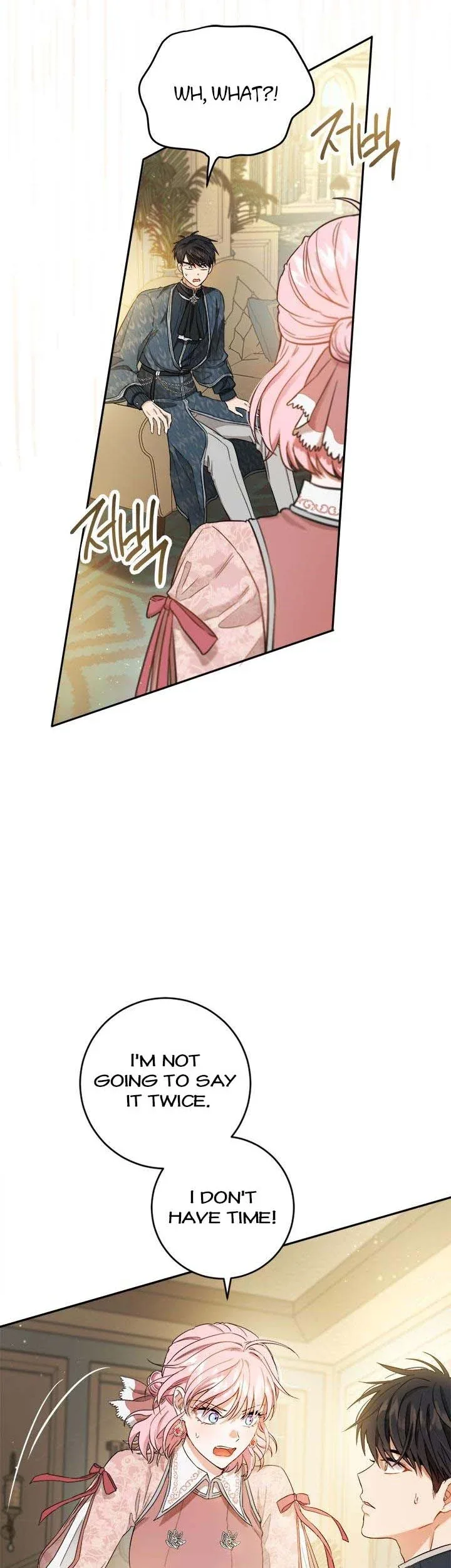 The Princess’s Double Life Chapter 71 page 3