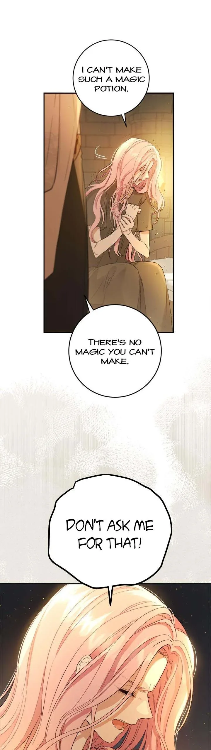 The Princess’s Double Life Chapter 71 page 25