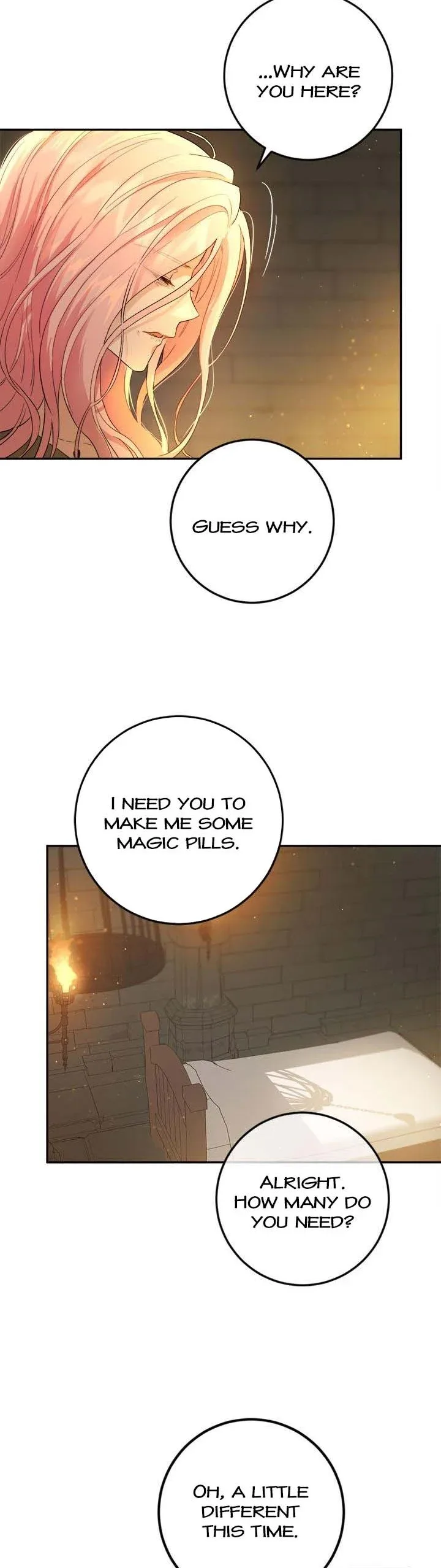 The Princess’s Double Life Chapter 71 page 23