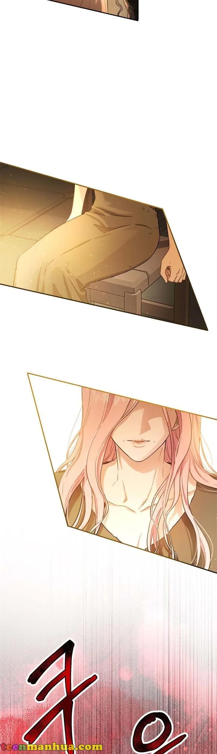 The Princess’s Double Life Chapter 71 page 18