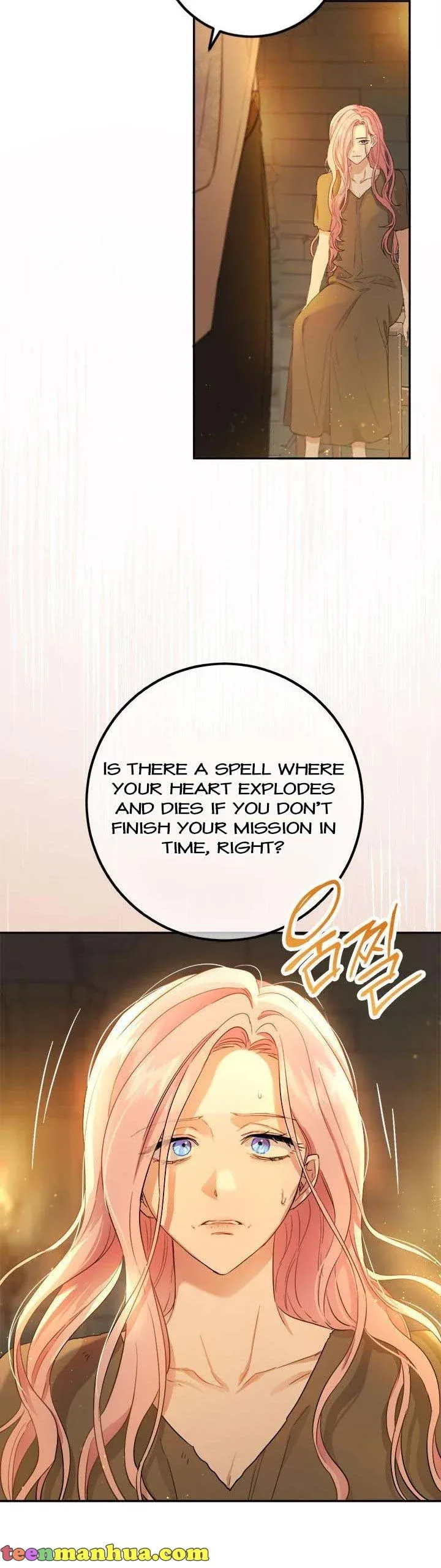 The Princess’s Double Life Chapter 71 page 24