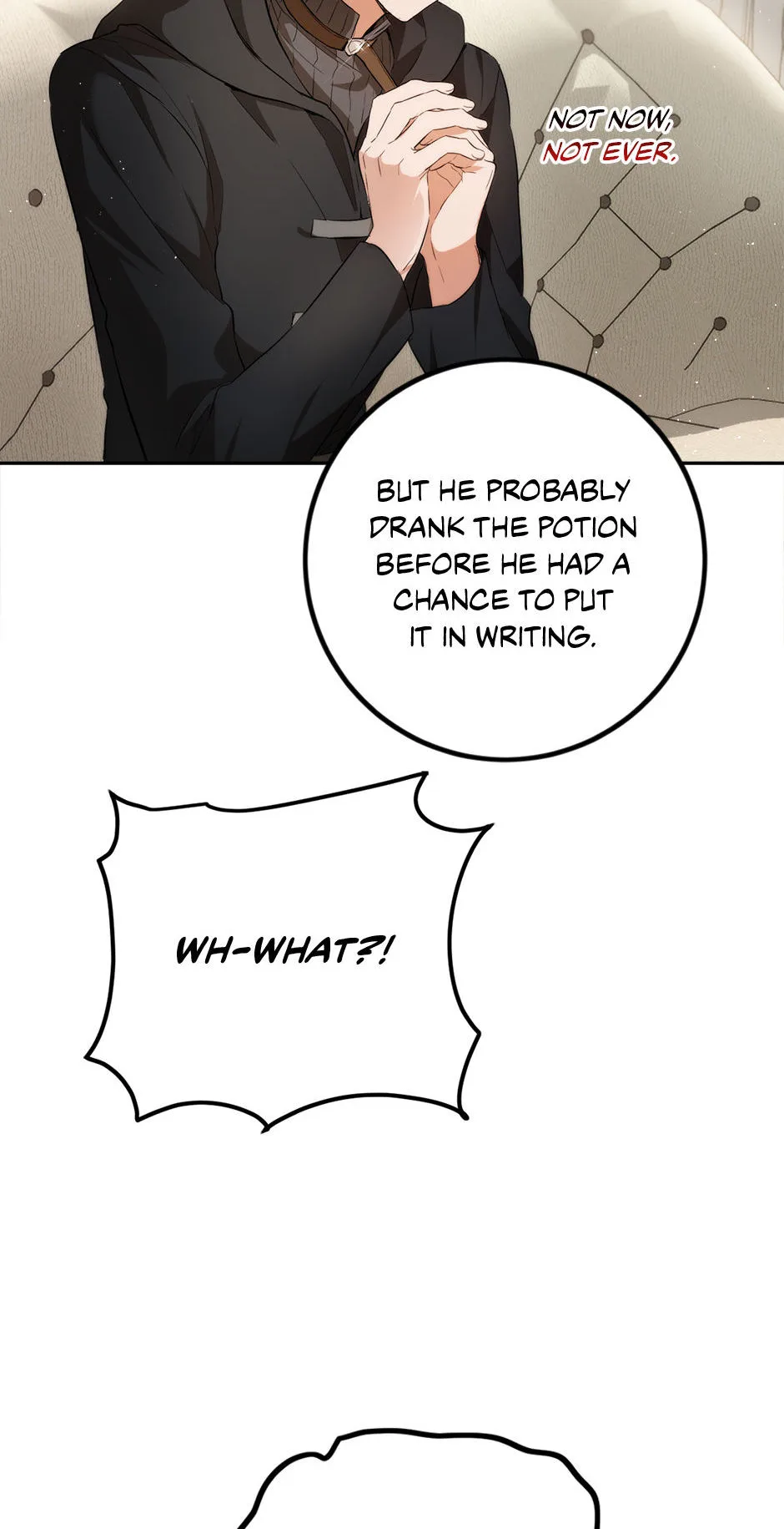 The Princess’s Double Life Chapter 85 page 12