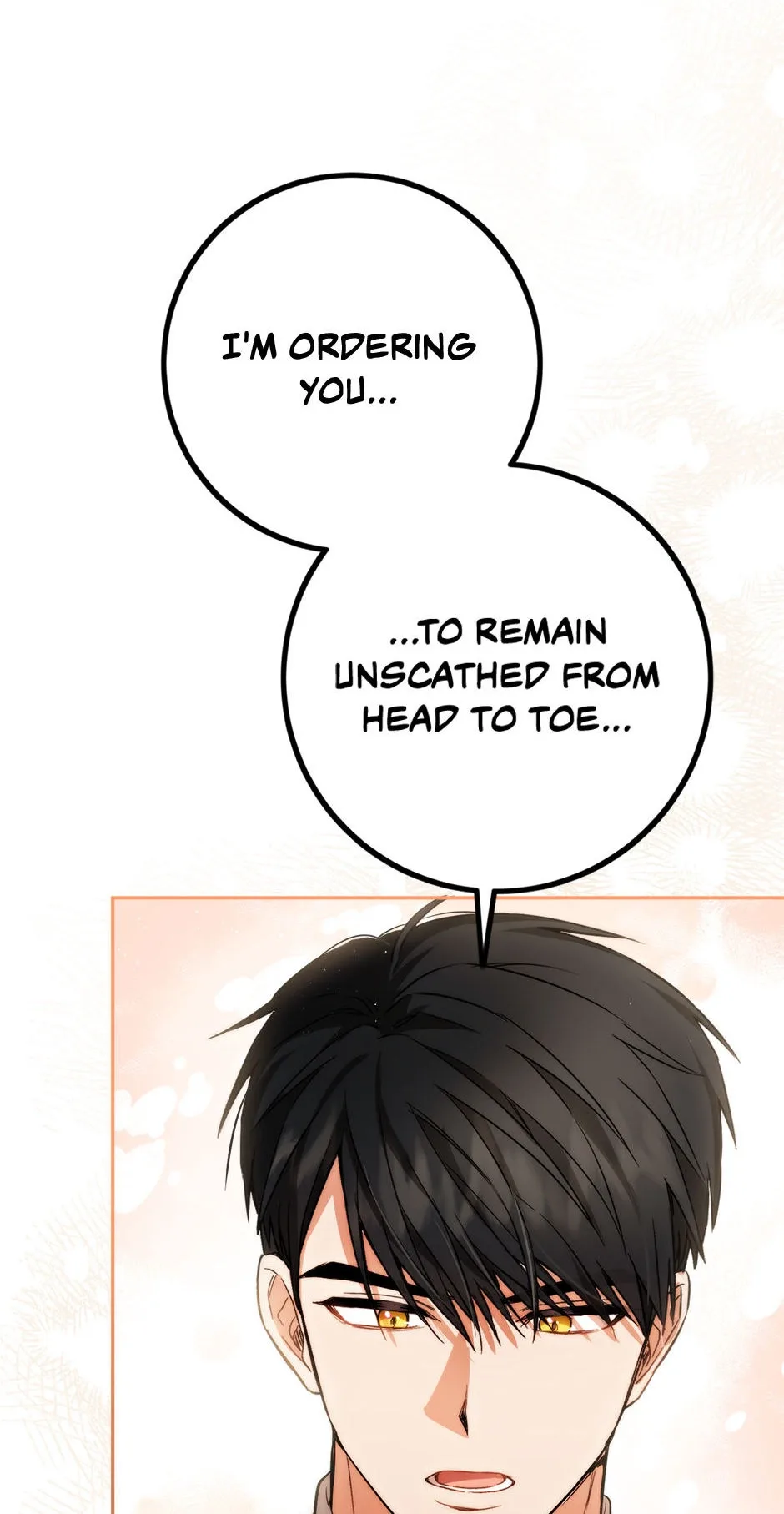 The Princess’s Double Life Chapter 85 page 70