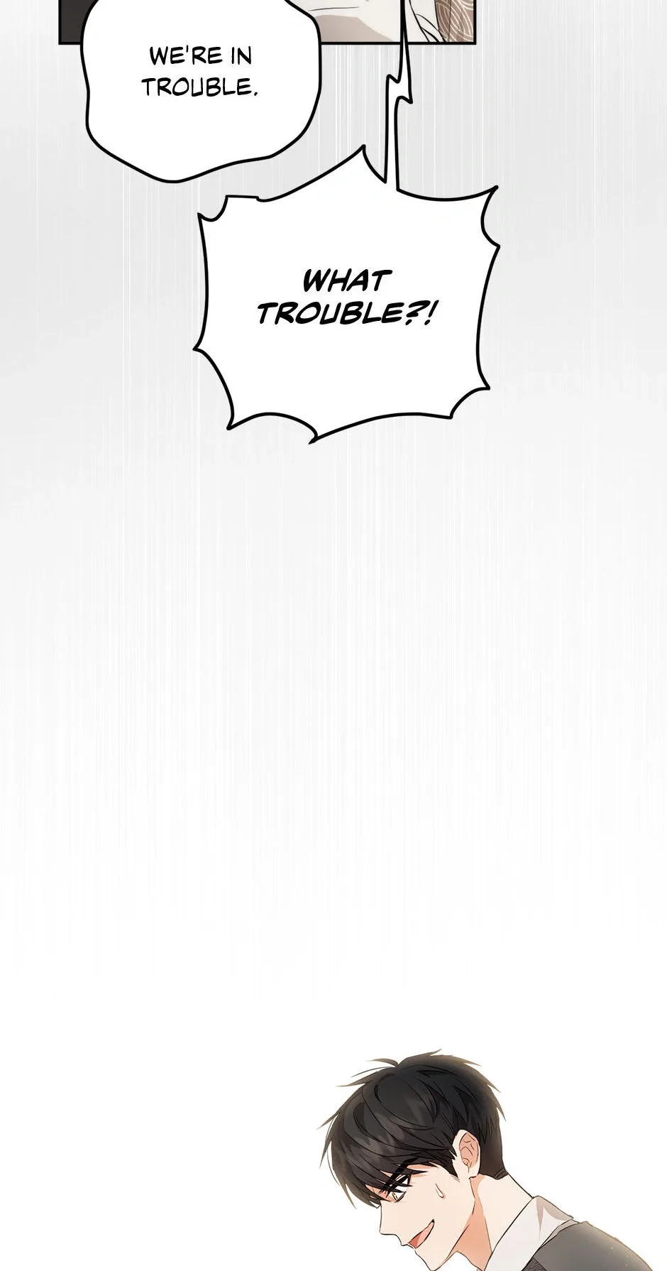 The Princess’s Double Life Chapter 85 page 85