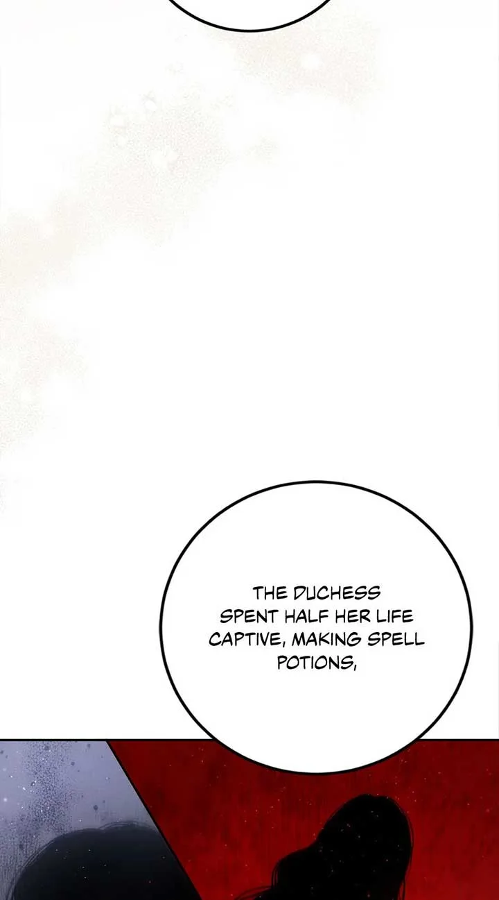 The Princess’s Double Life Chapter 89 page 24