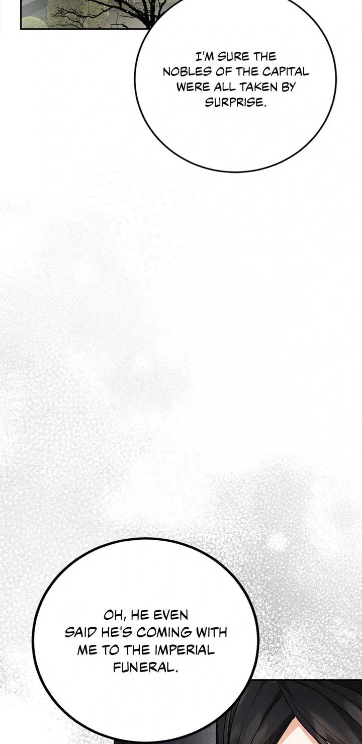 The Princess’s Double Life Chapter 89 page 72