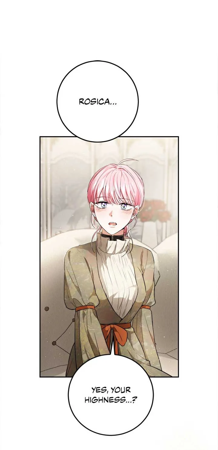 The Princess’s Double Life Chapter 89 page 39