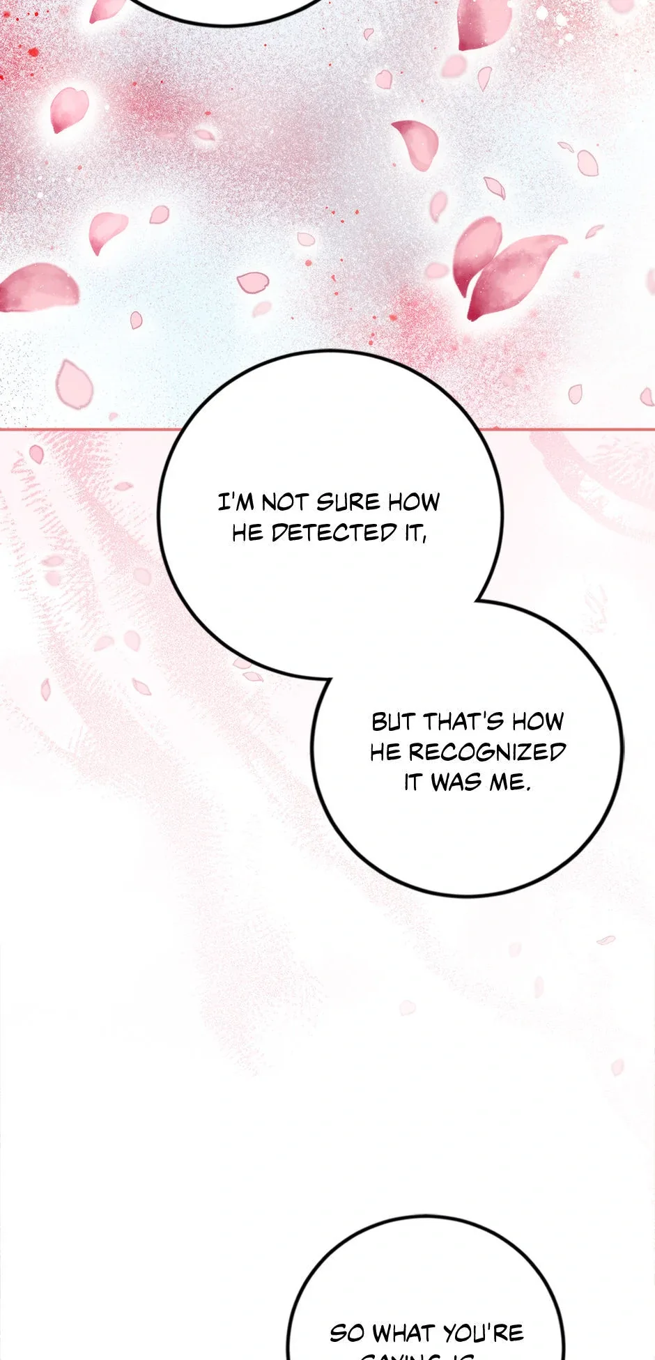 The Princess’s Double Life Chapter 91 page 13