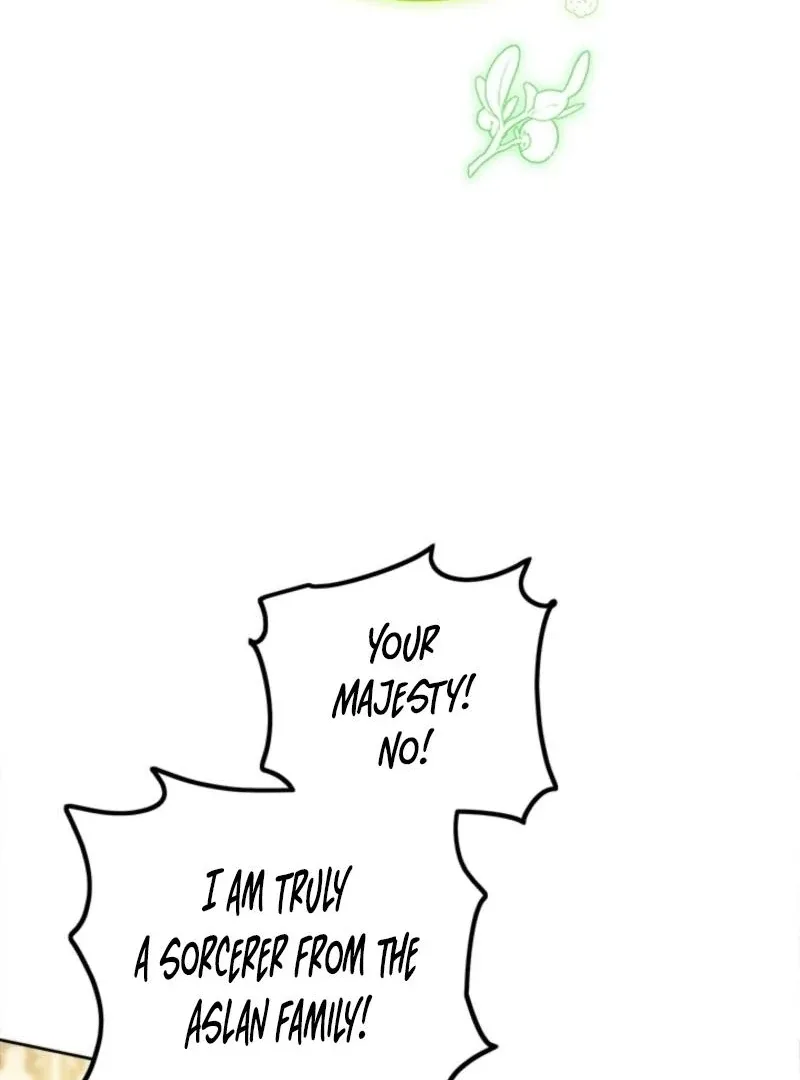 The Princess’s Double Life Chapter 125 page 37