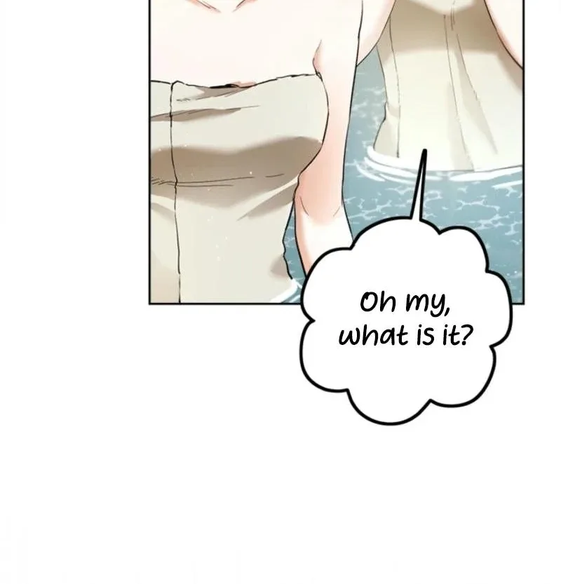The Princess’s Double Life Chapter 125 page 65